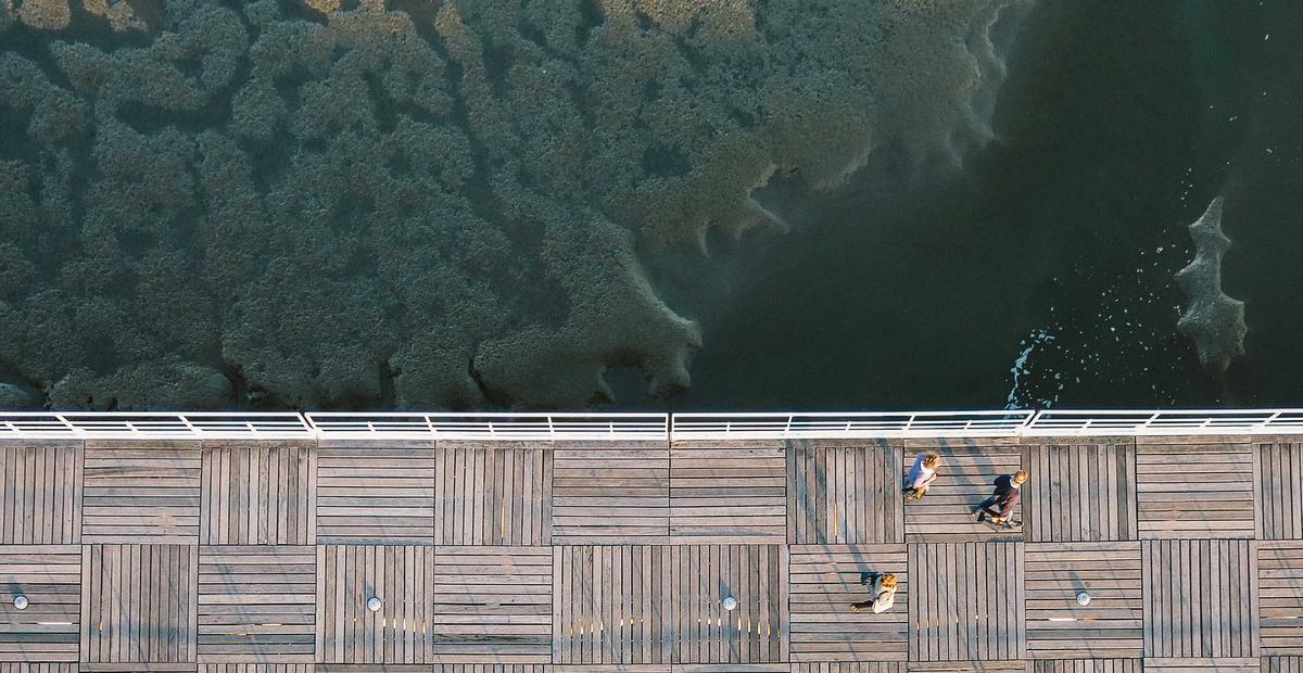Aerial view of a boardwalk along dark water